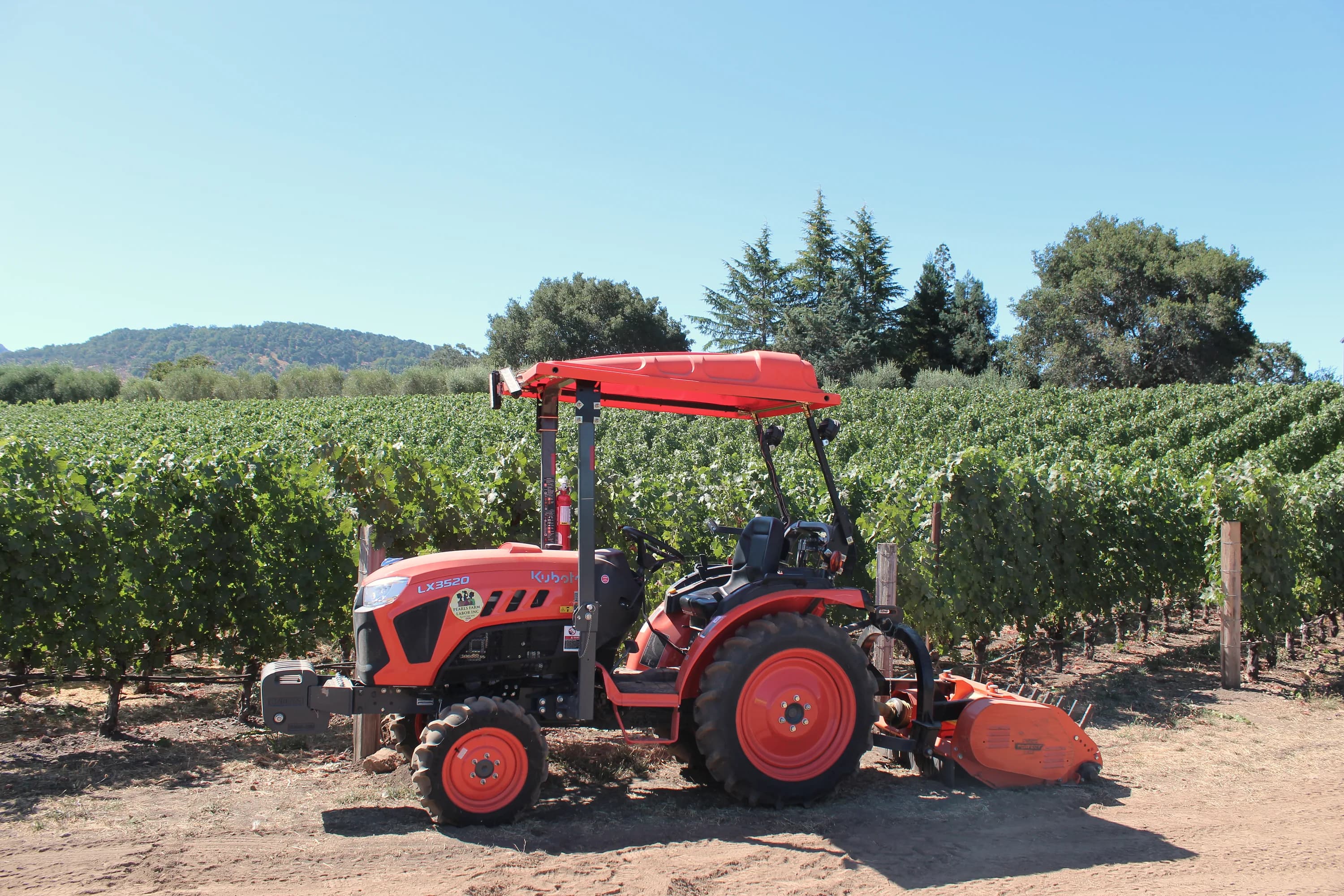 Pearls crew working during harvest