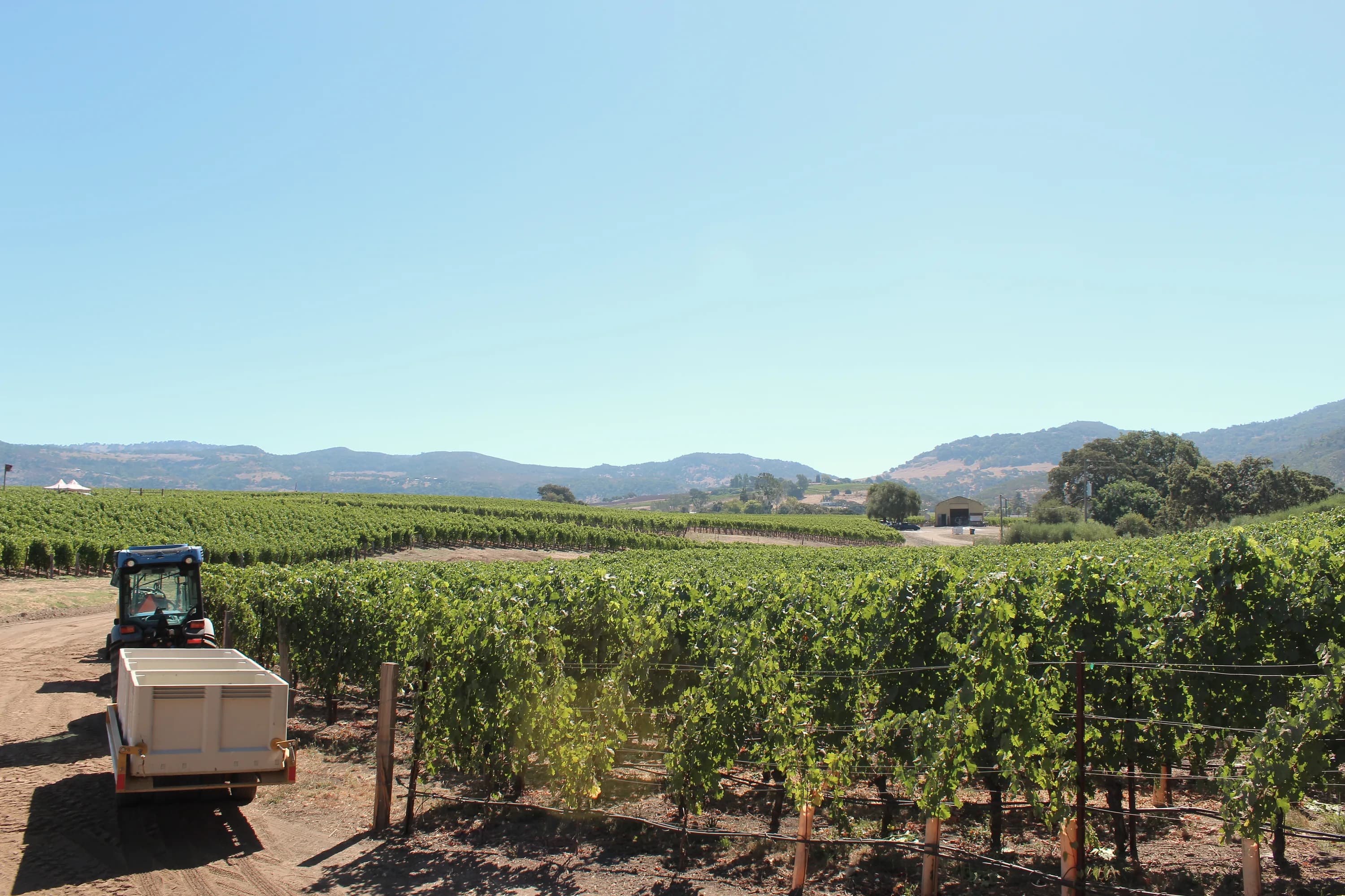 Vineyard rows and field operations in Northern California