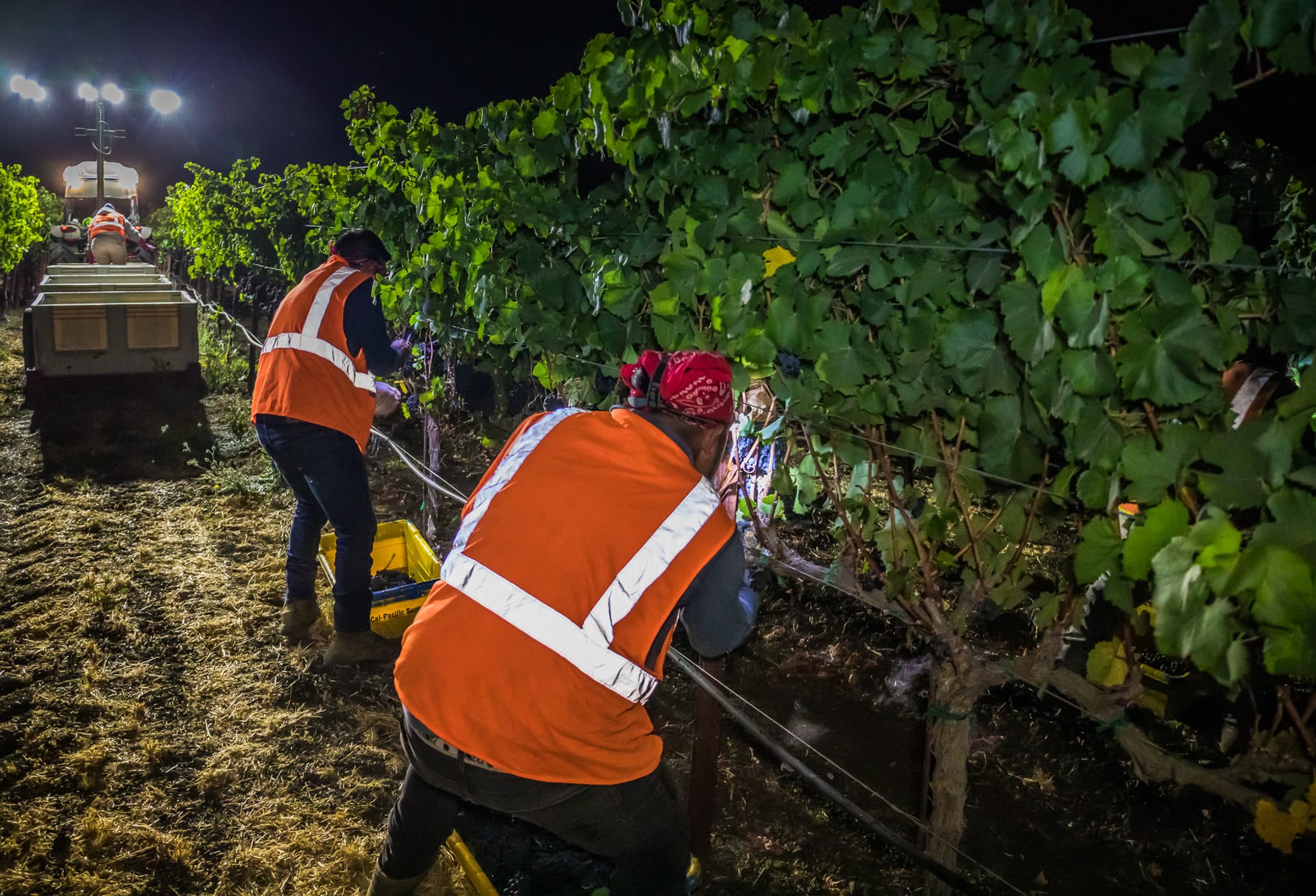 Harvest Support