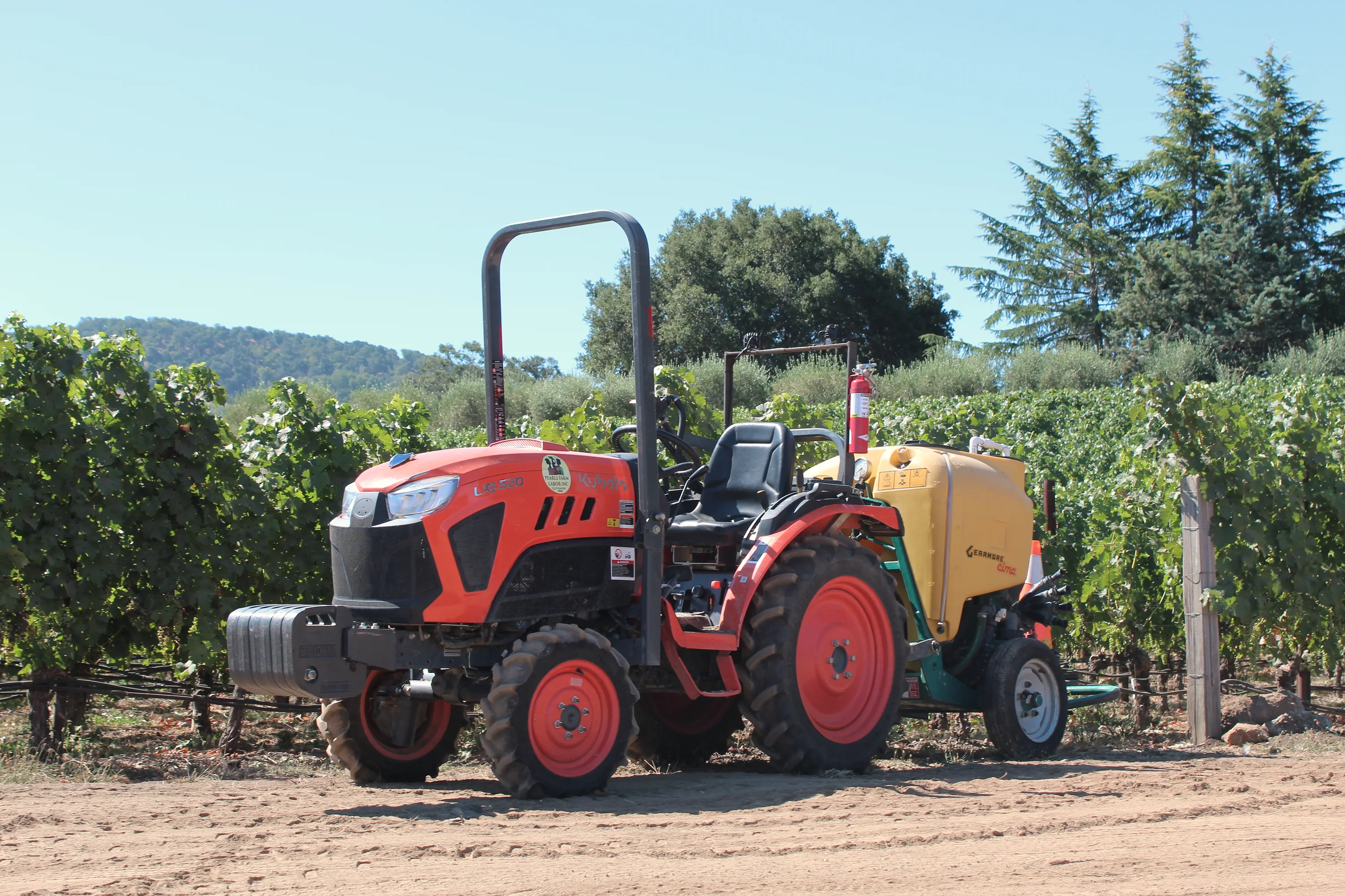 Pearls vineyard field scene
