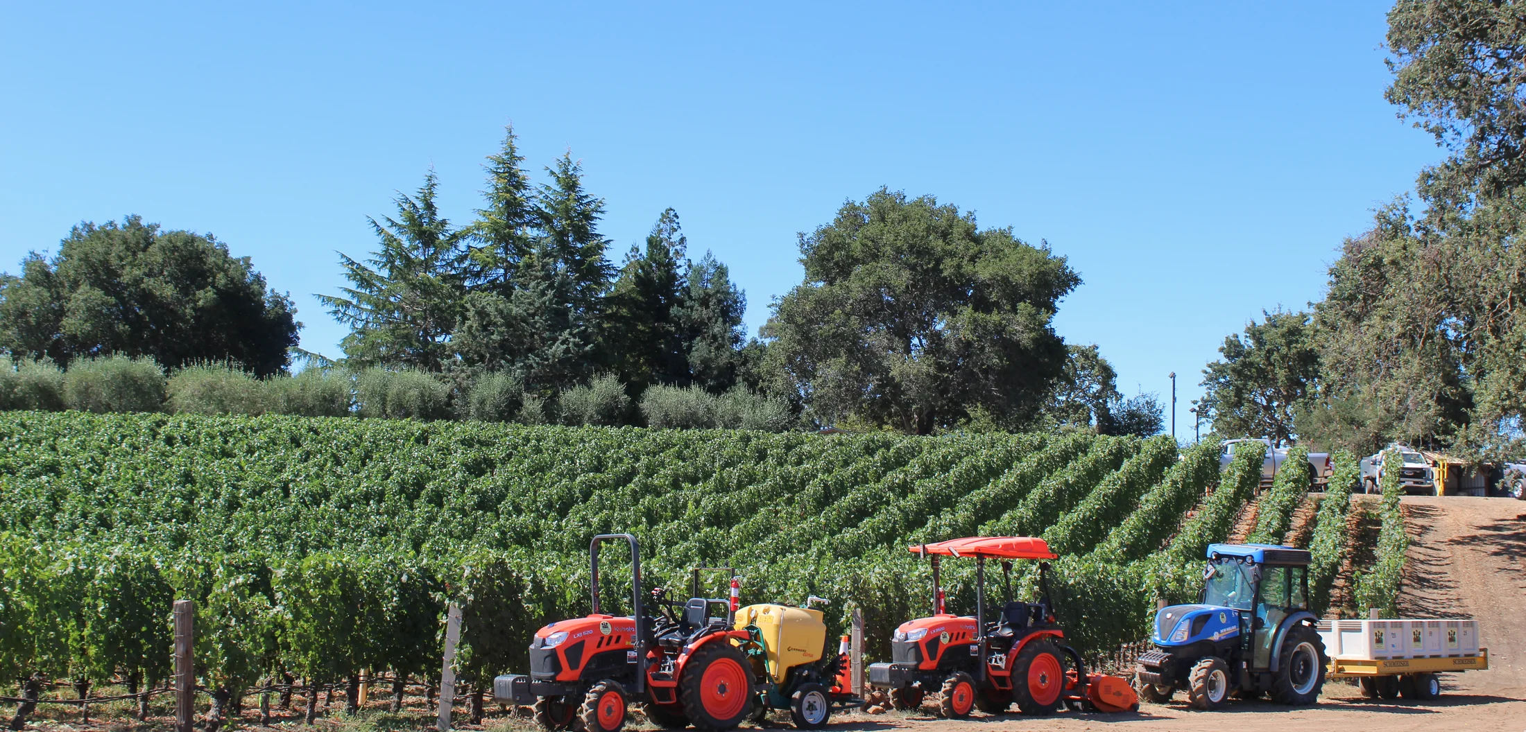 Pearls tractors and field equipment beside vineyard rows