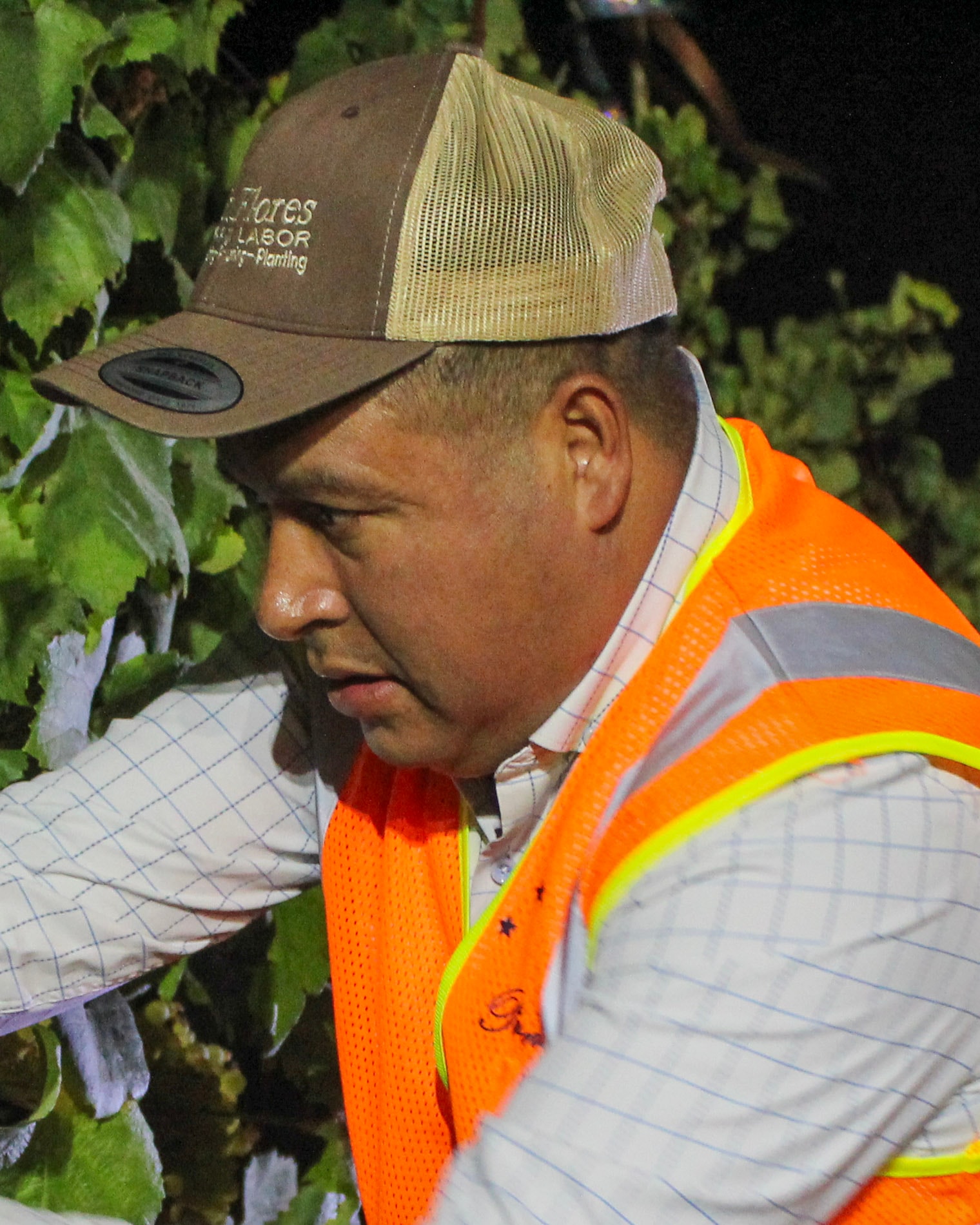 Leo Flores Martinez, founder of Pearls Farm Labor, working in the vineyard at night