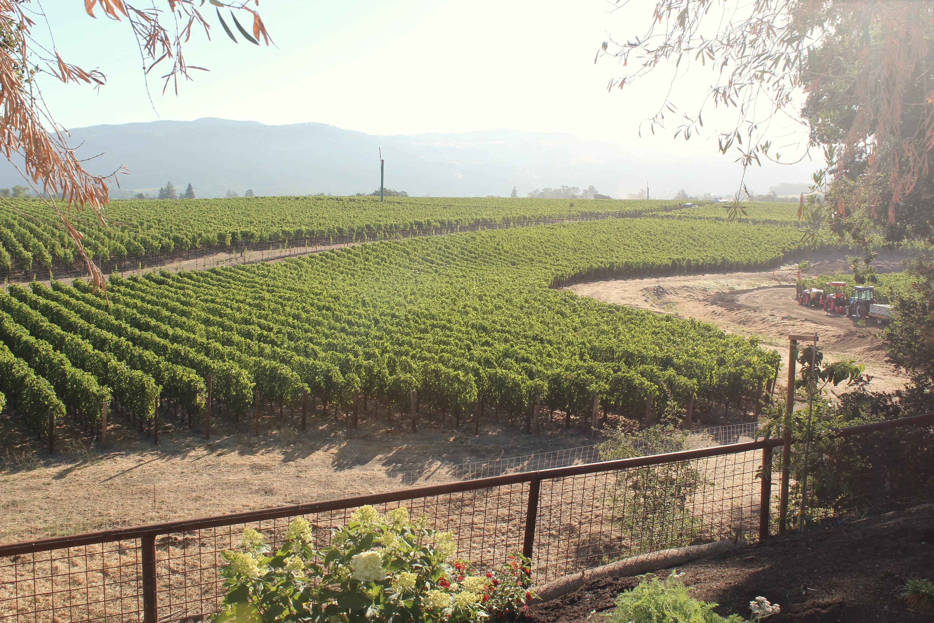 Representative Pearls field work in Northern California