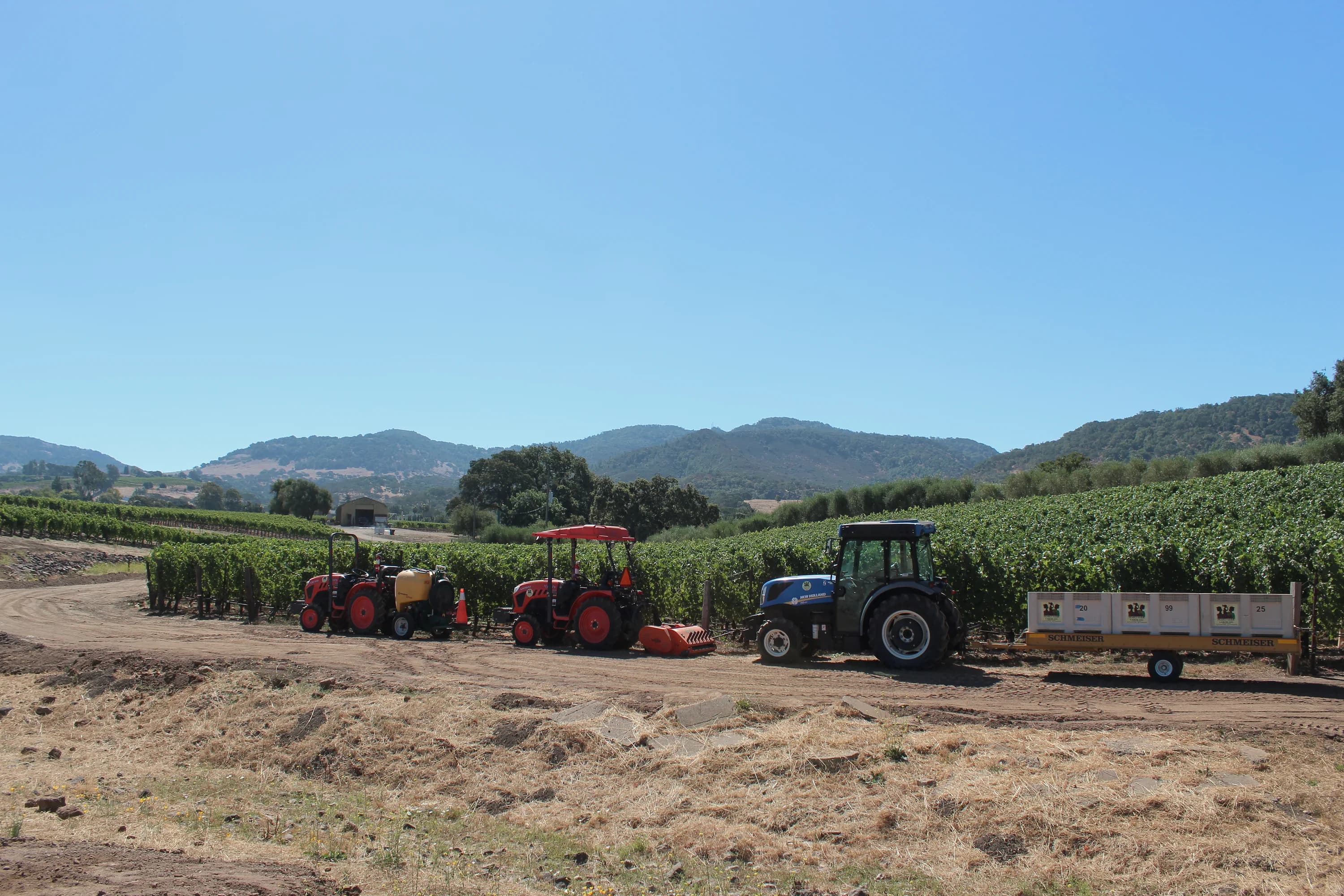 Representative Pearls field work in Northern California