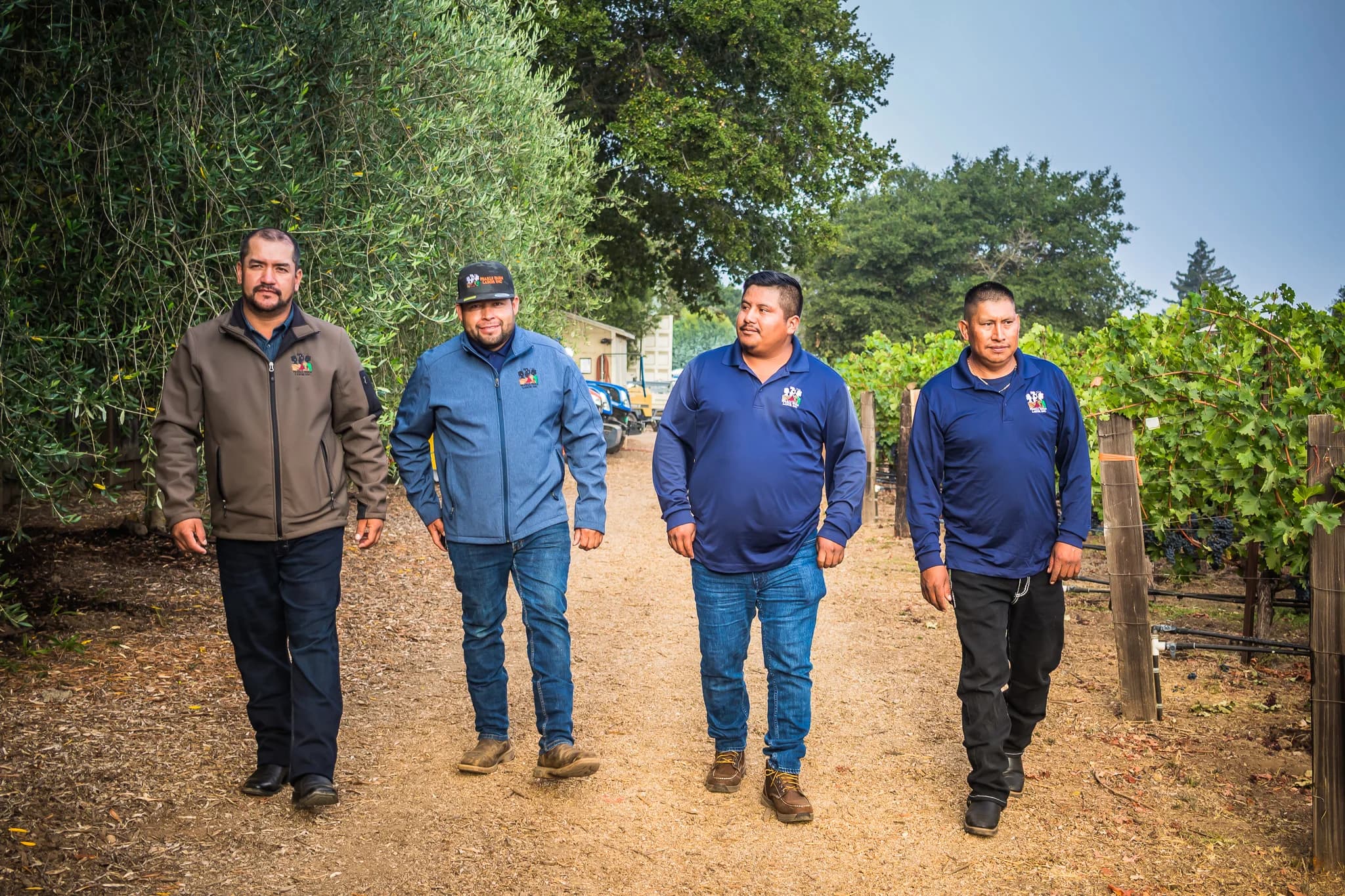 Pearls supervisors walking together between vineyard rows