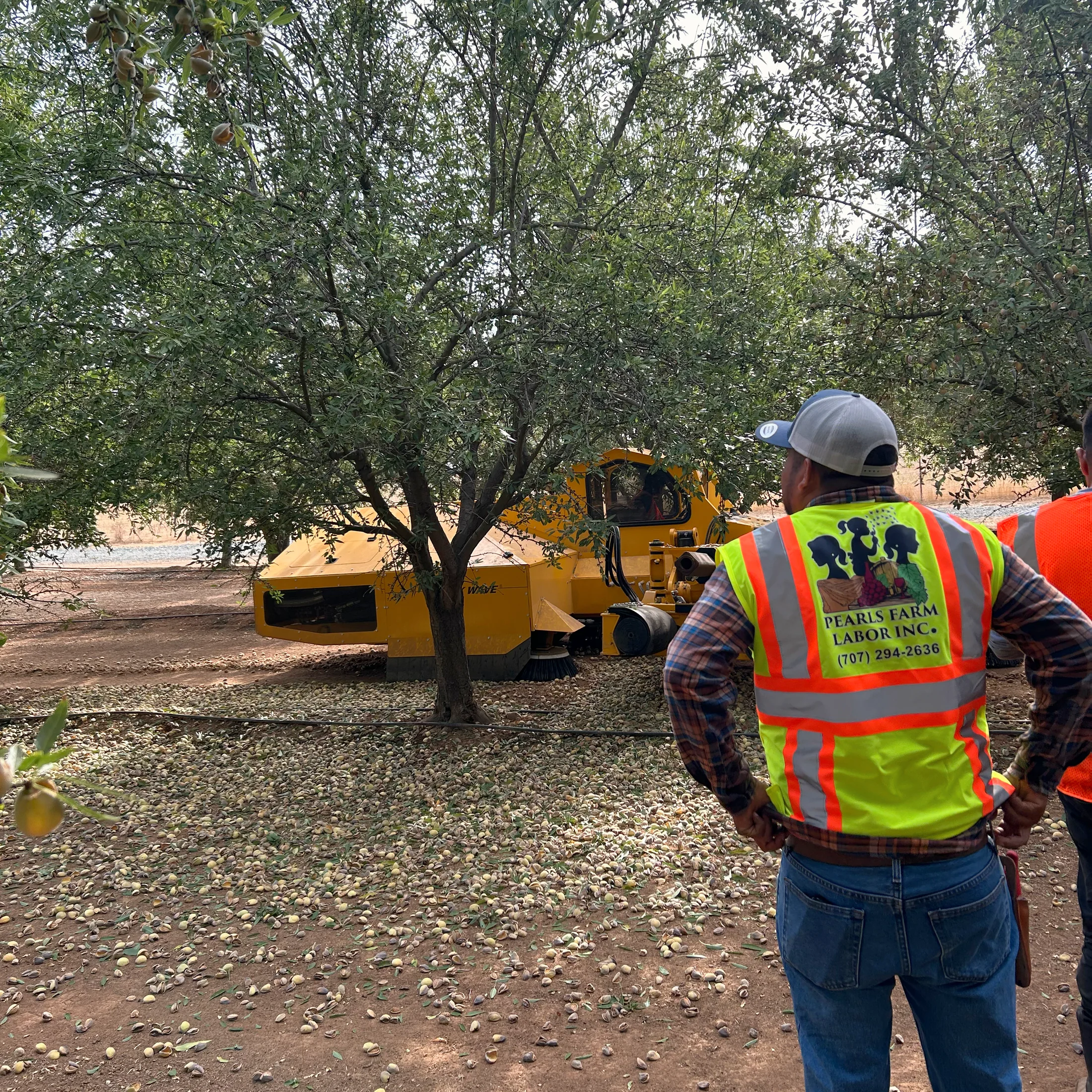 Pearls personnel monitoring equipment during almond harvest