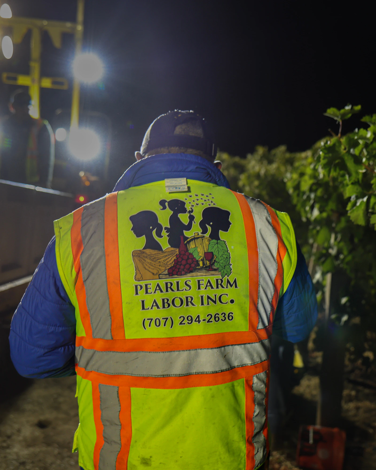 Trabajador de Pearls de espaldas, con el chaleco de la empresa que lleva impreso el teléfono (707) 294-2636, durante una cosecha nocturna